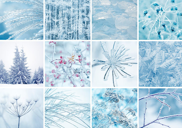 Postkarte "Winter"