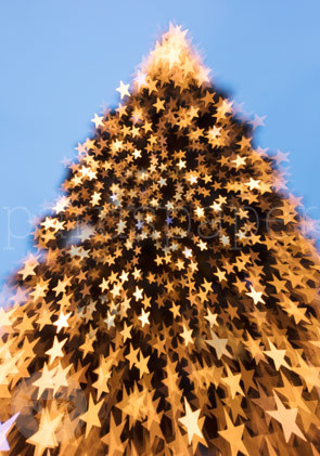 Klappkarte "Weihnachtsbaum im Sternenglanz III"