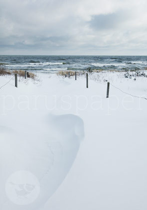Postcard "Durch Schneewehen ans Meer"