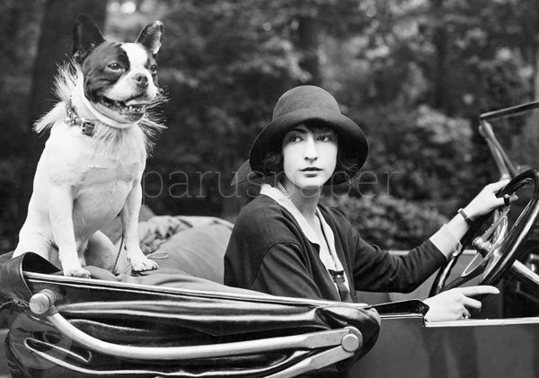 Postkarte "Frau Goldschmidt mit Dogge im Cabrio"