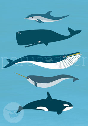 Postkarte "Wale"