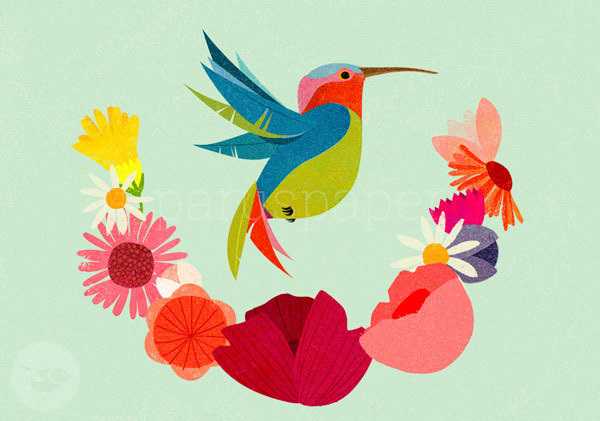 Postkarte "Kolibri"