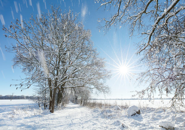 Postkarte "Ein perfekter Wintertag"