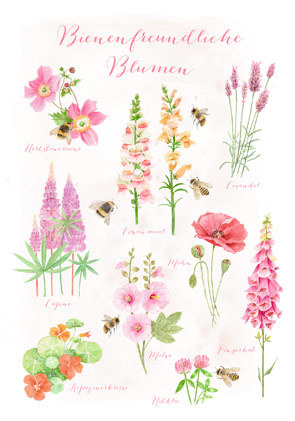 Postkarte "Bienenfreundliche Blumen"