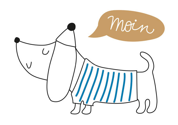 Postkarte "Moin - Seehund"
