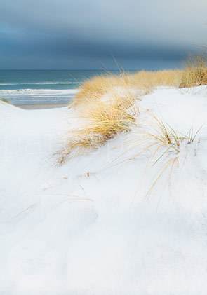 Postkarte "Winterpoesie am Meer"