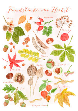 Postkarte "Fundstücke im Herbst"