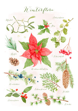 Postkarte "Winterflora"