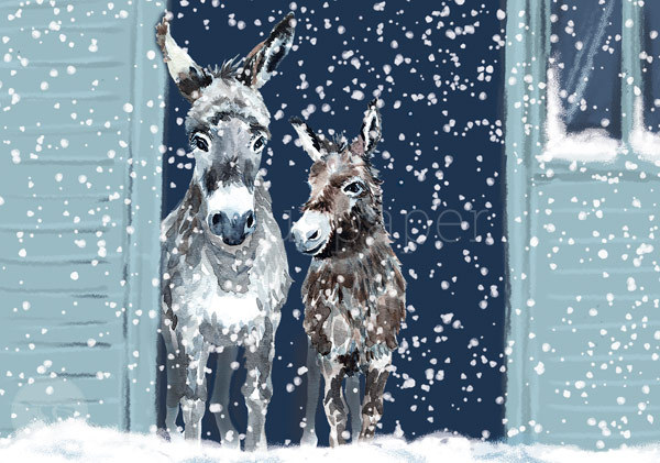Postkarte "Esel im winterlichen Stall"