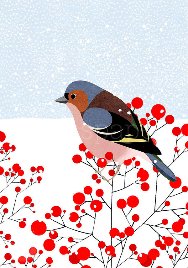 Postkarte "Buchfink im Schnee"