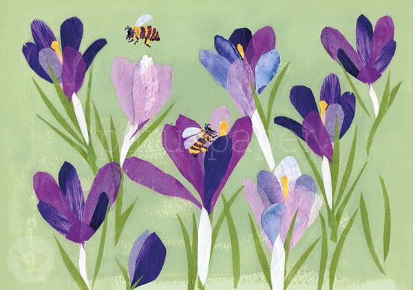 Postkarte "Bienen lieben Krokusse"